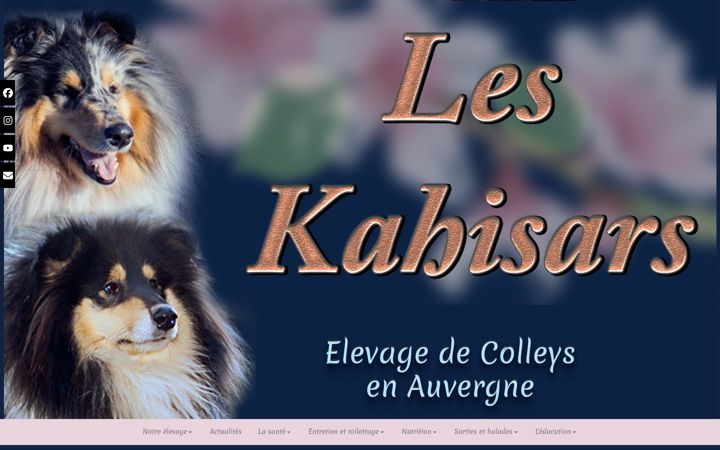 Screenshot of leskahisars.com