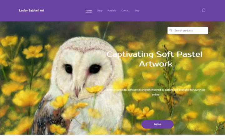 Screenshot of lesleysatchellart.com
