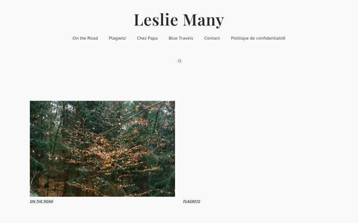 Screenshot of lesliemany.com