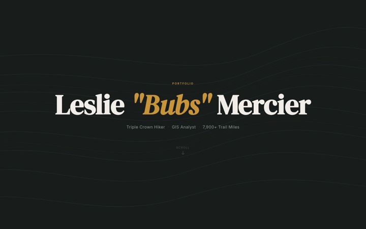 Screenshot of lesliemercier.com