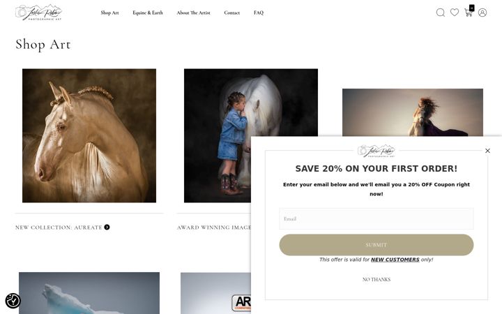 Screenshot of leslierobins.com