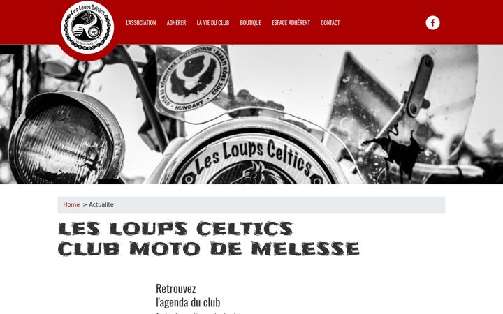 Screenshot of lesloupsceltics.fr