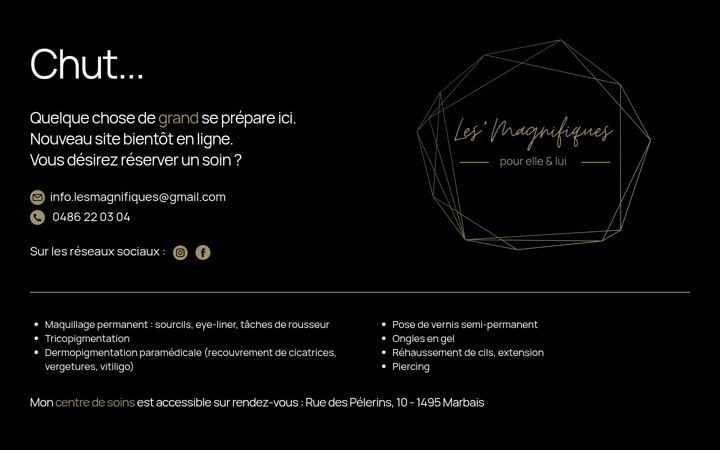 Screenshot of lesmagnifiques.be