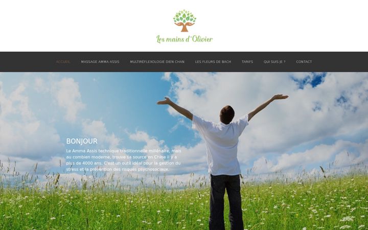 Screenshot of lesmainsdolivier.com