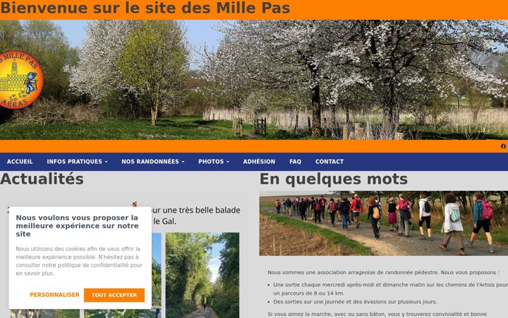 Screenshot of lesmillepas.fr