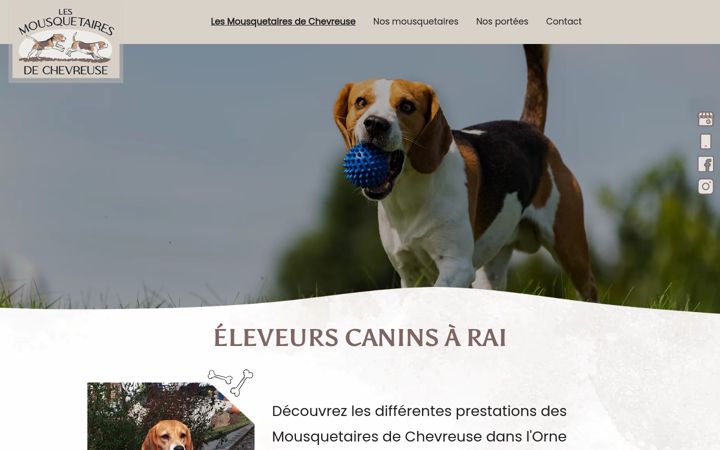 Screenshot of lesmousquetairesdechevreuse.fr