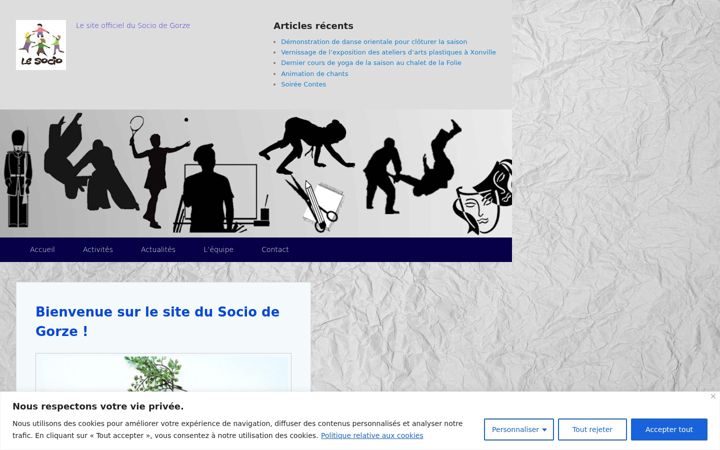 Screenshot of lesocio.fr