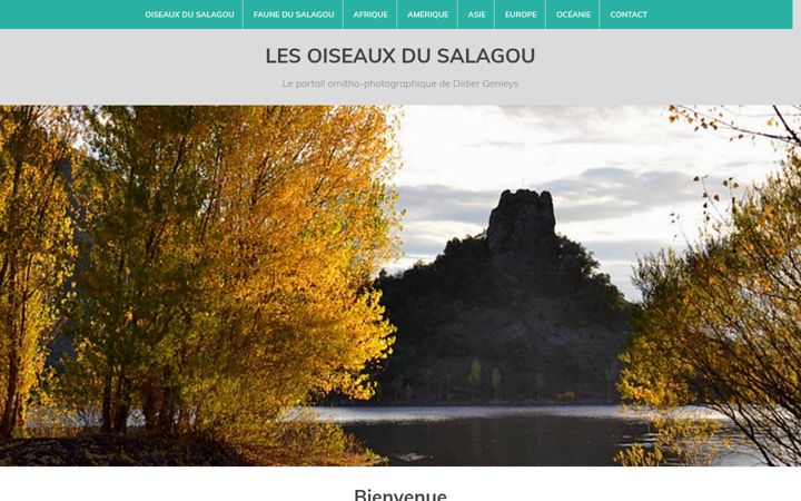 Screenshot of lesoiseauxdusalagou.fr