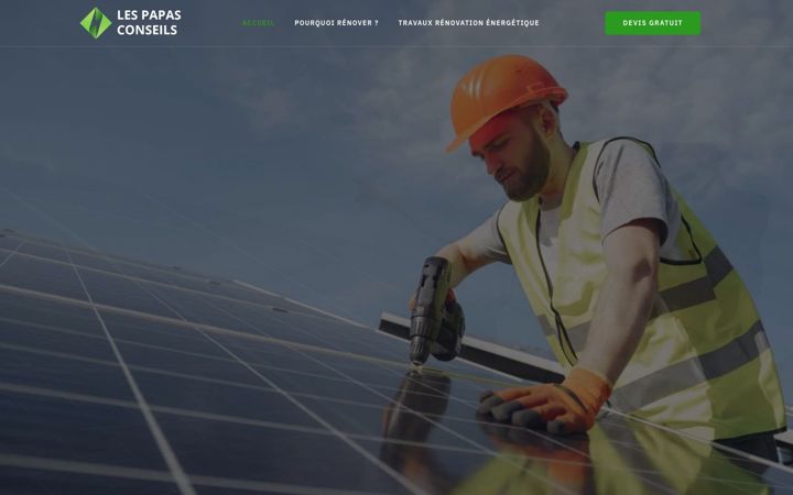 Screenshot of lespapas-conseils.fr