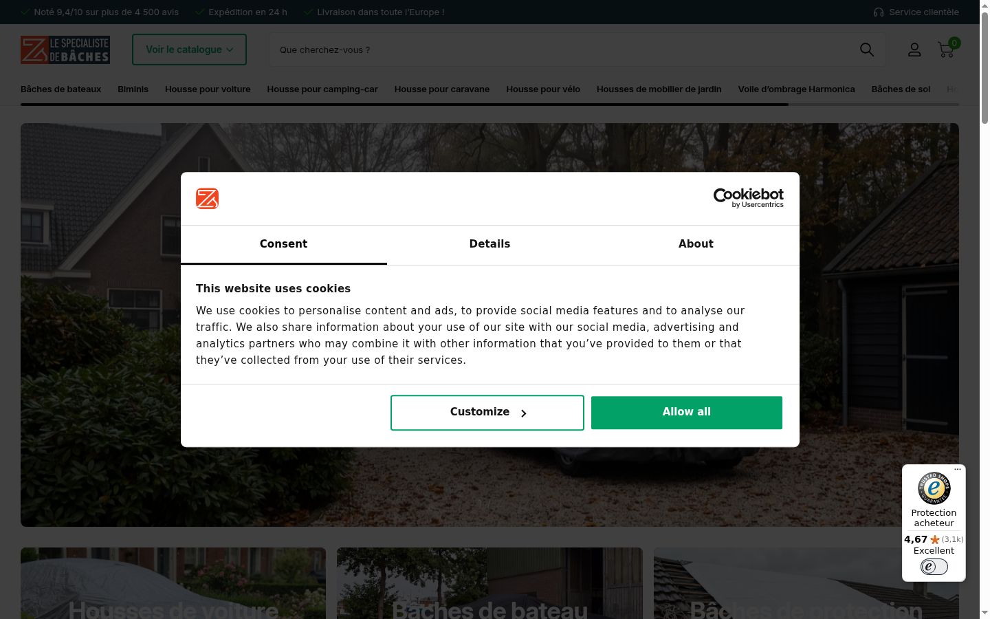 Screenshot of the consent banner shown before any interaction