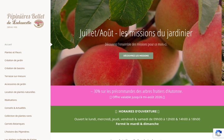 Screenshot of lespepinieresbellet.fr
