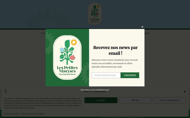 Screenshot of lespetitesmaryses.fr