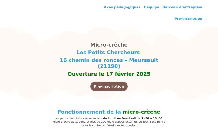Screenshot of lespetitschercheursmicrocreche.fr