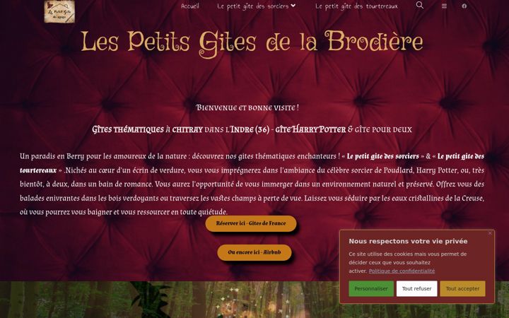 Screenshot of lespetitsgitesdelabrodiere.fr