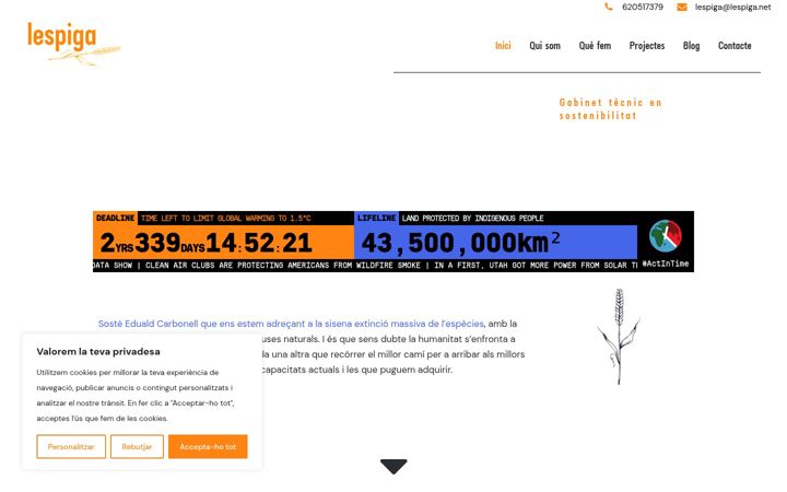 Screenshot of lespiga.net