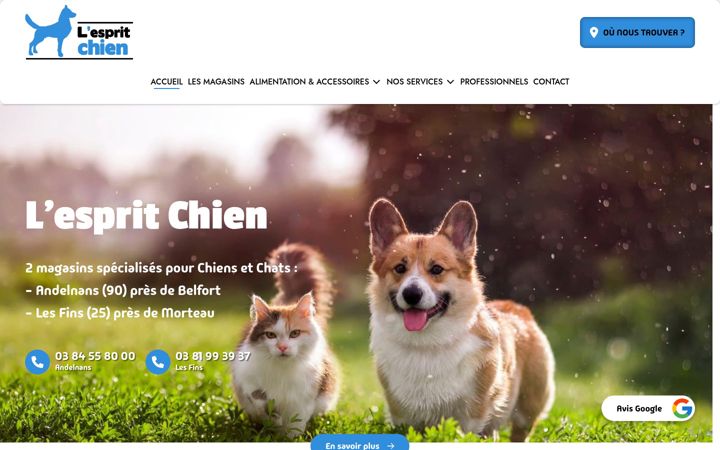 Screenshot of lespritchien.fr