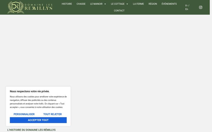 Screenshot of lesremillys.com