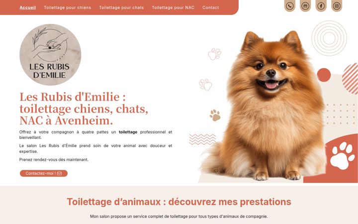 Screenshot of lesrubisdemilie.fr