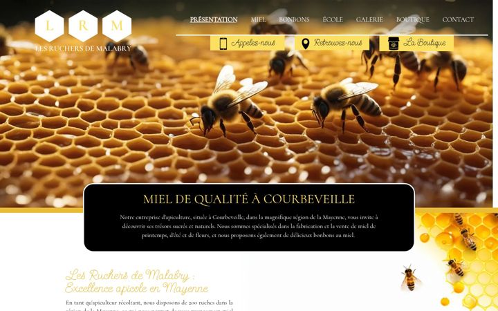 Screenshot of lesruchersdemalabry.fr