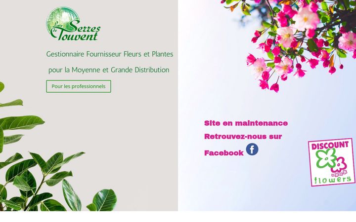 Screenshot of lesserresdetouvent.fr