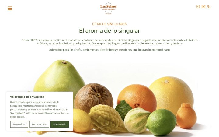 Screenshot of lessolaes.com