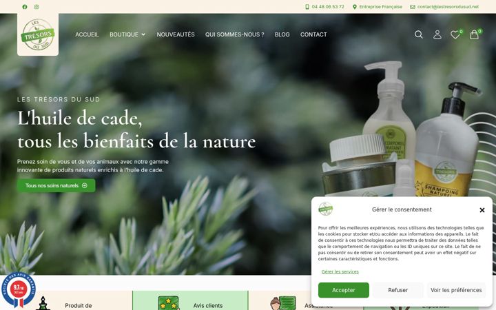 Screenshot of lestresorsdusud.net
