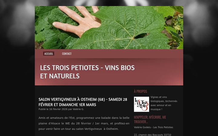 Screenshot of lestroispetiotes.com