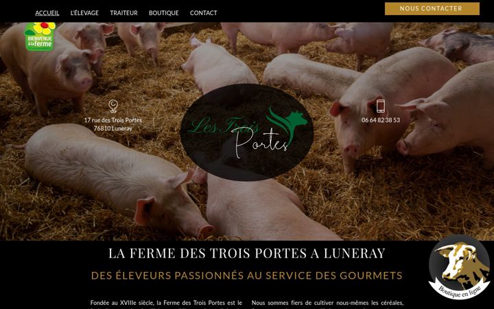 Screenshot of lestroisportes.fr