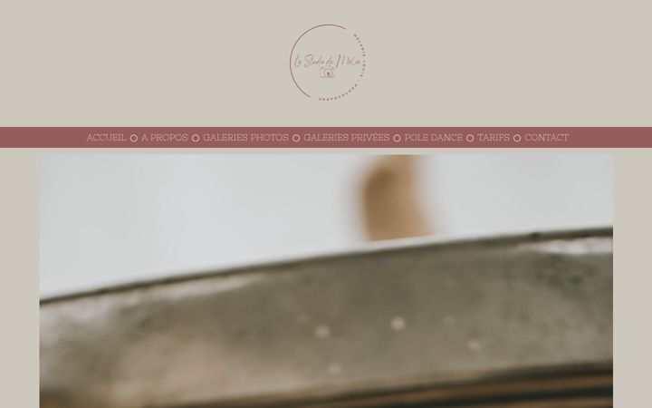 Screenshot of lestudiodemelie.fr