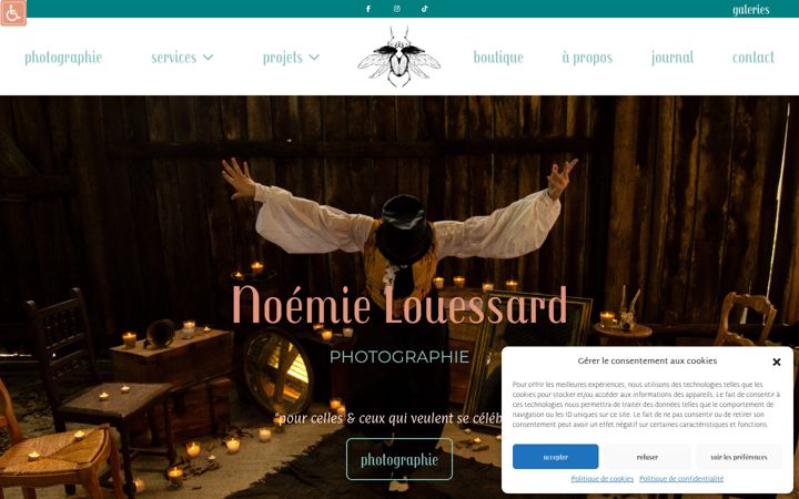 Screenshot of lesviesvents.fr