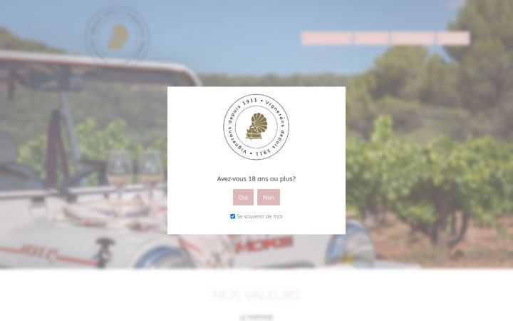 Screenshot of lesvigneronsduluc.com