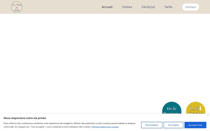 Screenshot of lesvisitesdedeclic.fr