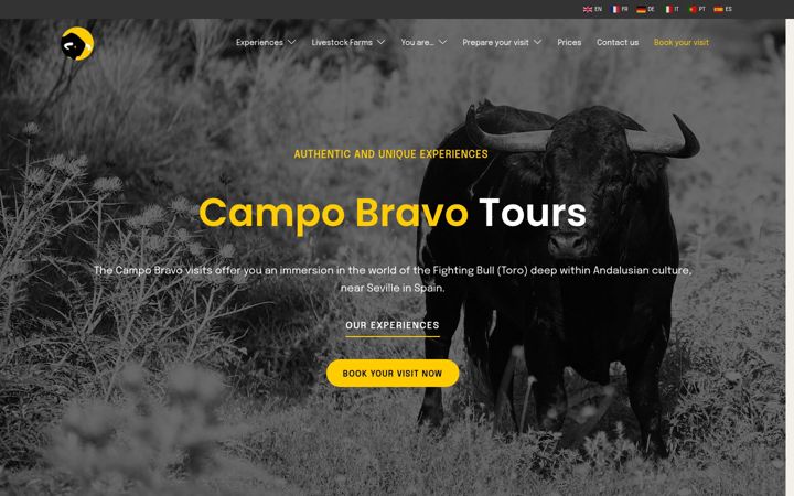 Screenshot of lesvisitesducampobravo.com
