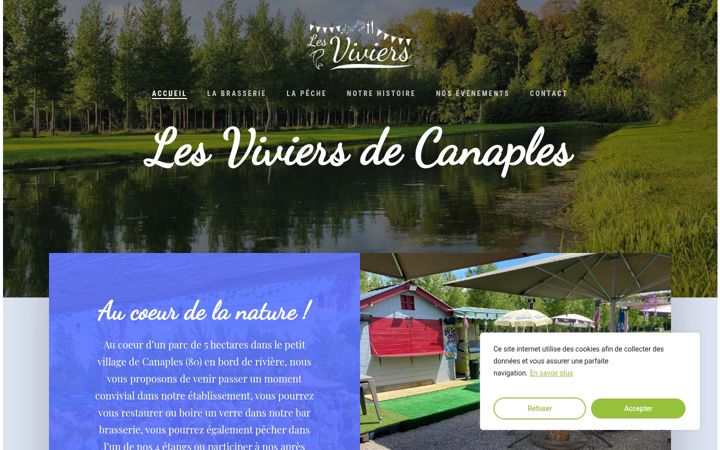 Screenshot of lesviviersdecanaples.fr