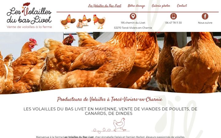 Screenshot of lesvolaillesdubaslivet.fr