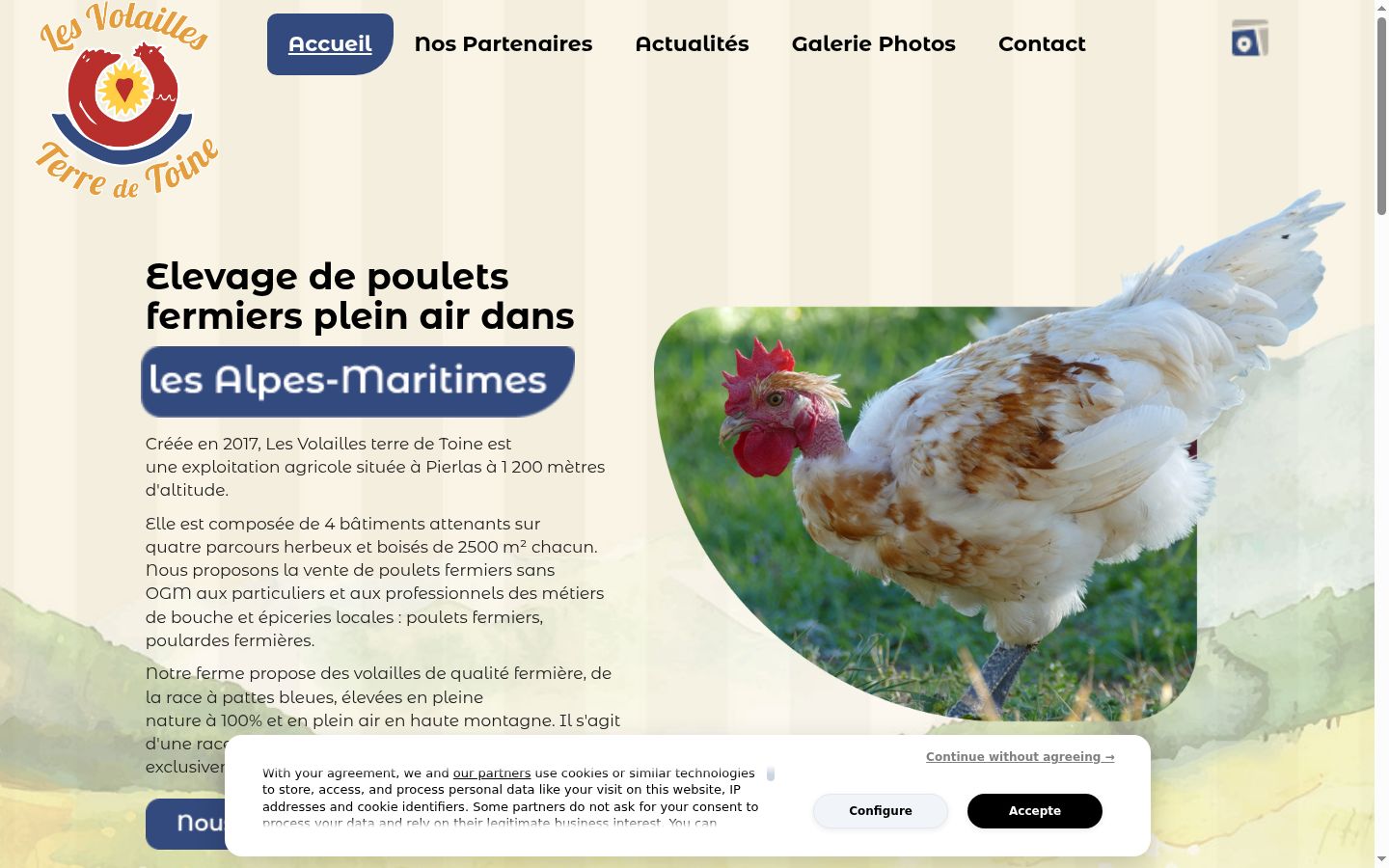 Screenshot del banner di consenso mostrato prima di qualsiasi interazione