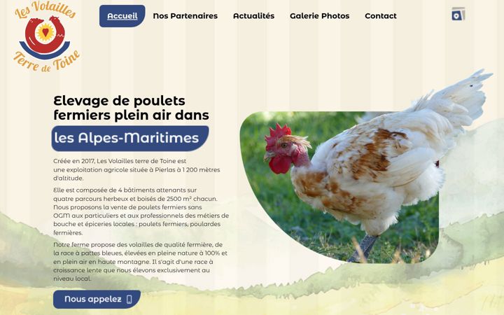 Screenshot of lesvolaillesterredetoine.com