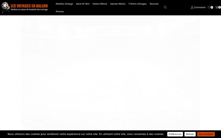 Screenshot of lesvoyagesenballon.fr