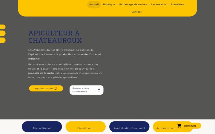 Screenshot of leszabeillesdubasberry.fr