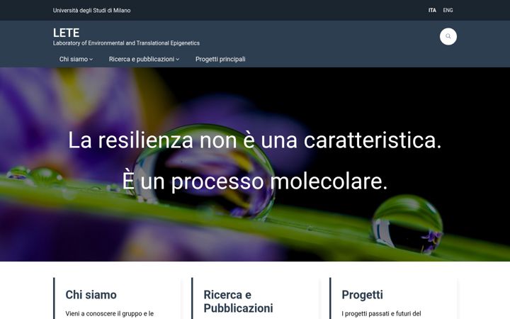 Screenshot of lete.unimi.it