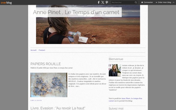 Screenshot of letempsduncarnet.com