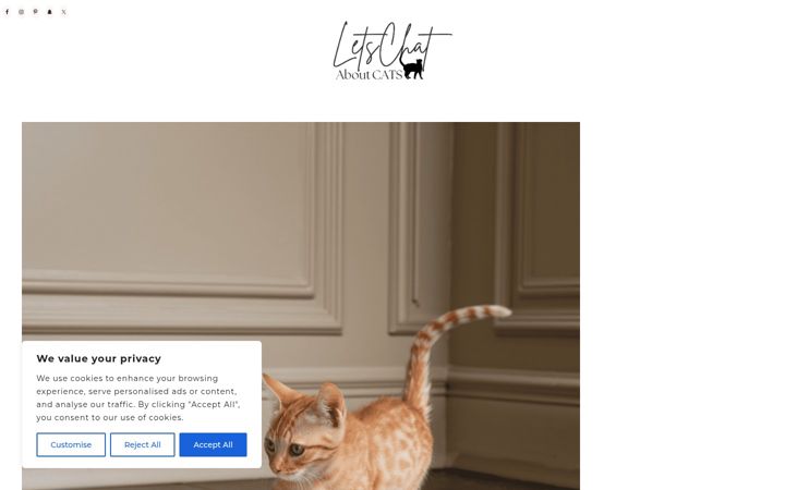 Screenshot of letschataboutcats.com
