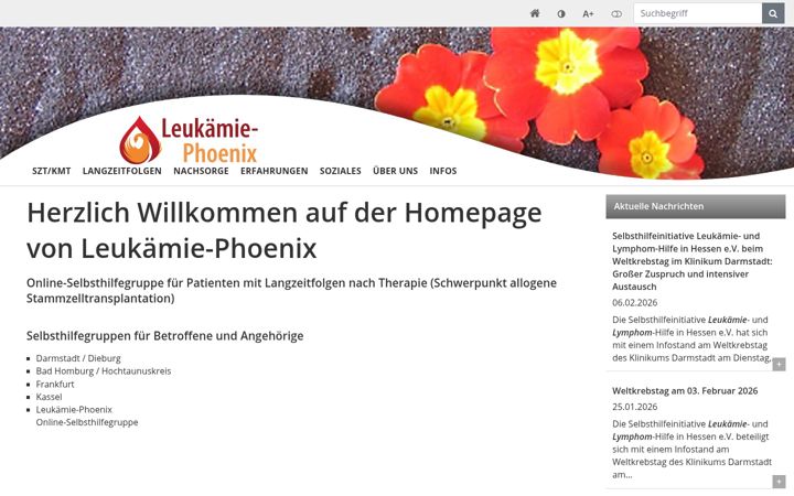 Screenshot of leukaemie-phoenix.de