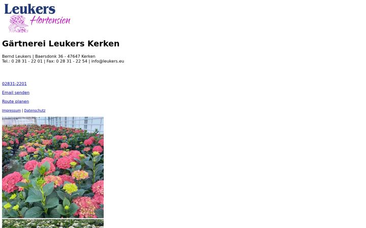 Screenshot of leukers.eu