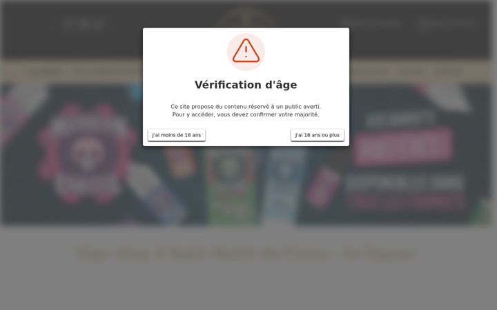 Screenshot of levapeurshop.fr