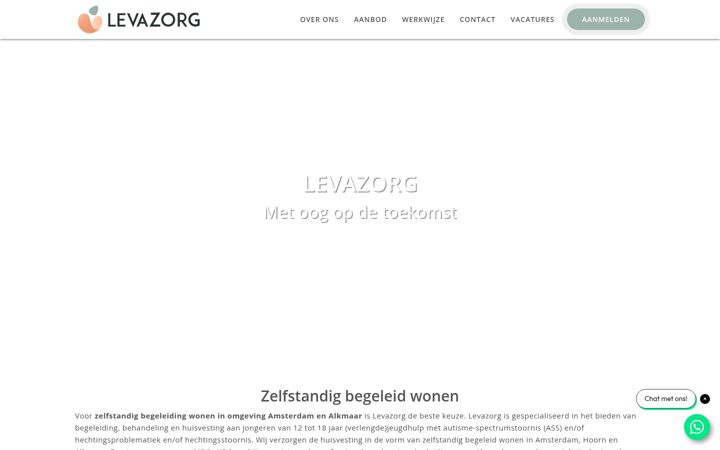 Screenshot of levazorg.nl