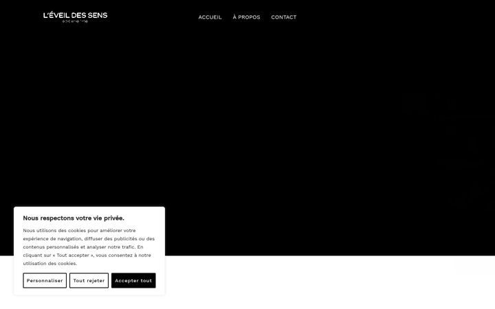 Screenshot of leveildessensaix.fr