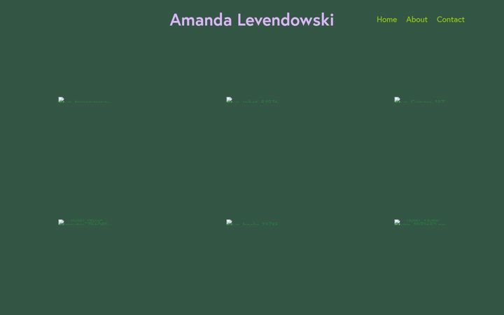 Screenshot of levendowski.net