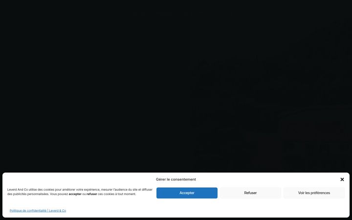 Screenshot of leverd-and-co.com