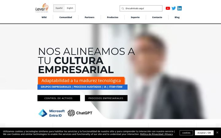 Screenshot of leverit.com